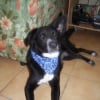 Photo de Leela
