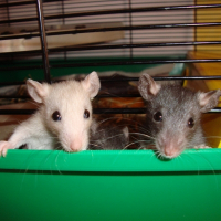 Photo de profil de Nana