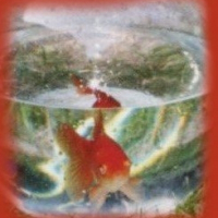 Photo de profil de Maurice