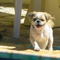Photo de profil de Roméo
