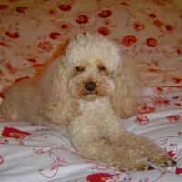 Photo de profil de Sally