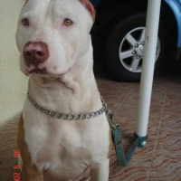 Photo de profil de Briggs