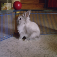 Photo de profil de Zéphir