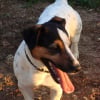 Photo de Caoutchouc