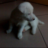 Photo de Tifa
