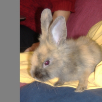 Photo de profil de Lili