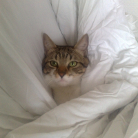 Photo de profil de Dadou