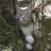 Photo de profil de Minouch