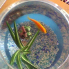 Photo de Frogy