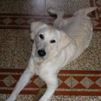 Photo de profil de Tania