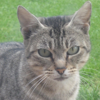 Photo de profil de Pimousse