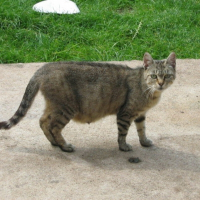 Photo de profil de Cul pelée