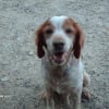 Photo de Titou