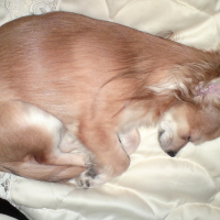 Photo de profil de Doug