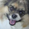 Photo de Happy