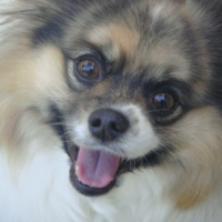 Photo de profil de Happy