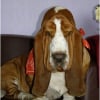 Photo de Billy du domaine des rouvres
