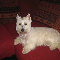 Photo de profil de Oscar