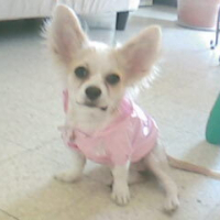 Photo de profil de Edene