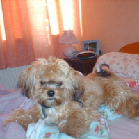 Photo de profil de Benji