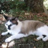 Photo de Milly