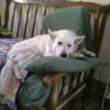 Photo de Comte