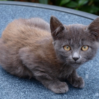 Photo de profil de Miii