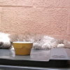 Photo de Mimoune