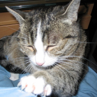 Photo de profil de Chloé