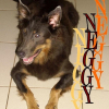 Photo de Neggy