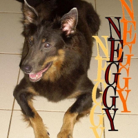 Photo de profil de Neggy