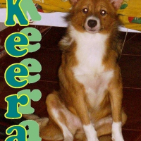 Photo de profil de Keera