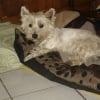 Photo de Salsa