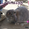 Photo de Noa
