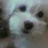 Photo de Pretty