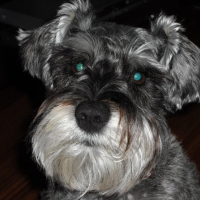 Photo de profil de Maya