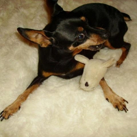 Photo de profil de Lola