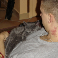 Photo de profil de Vodka