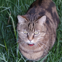 Photo de profil de Pockette