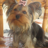 Photo de profil de Dior