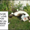 Photo de Moustic chouchou