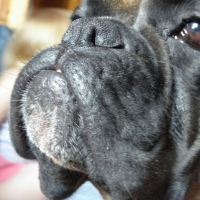 Photo de profil de Channa