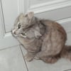 Photo de Fripon
