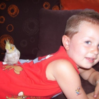 Photo de profil de Fifille