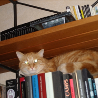 Photo de profil de Eliott