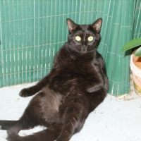 Photo de profil de Myrtille