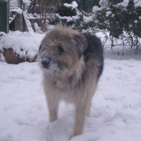 Photo de profil de Tekila