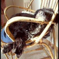 Photo de profil de Heidi