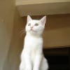 Photo de Fifoune