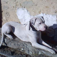 Photo de profil de Calypso